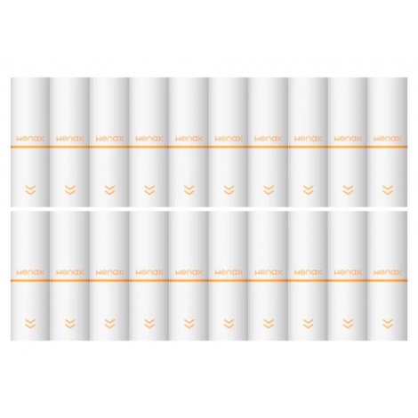 GeekVape - Wenax M1 Filter (20 Stück pro Packung)